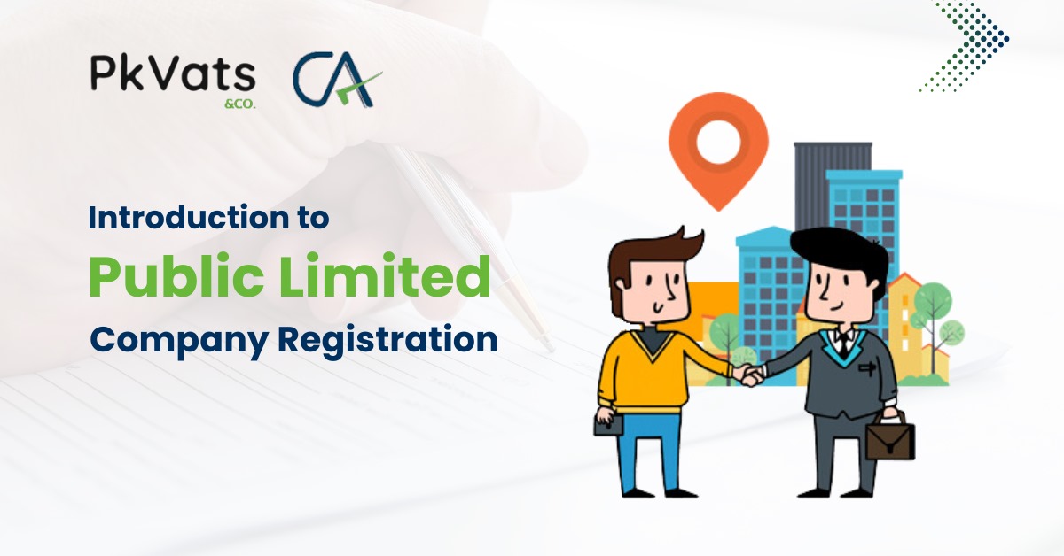 public litimed company registration