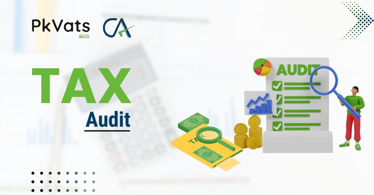 tax audit