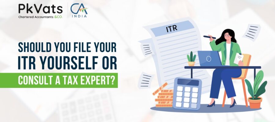 Should You File Your ITR Yourself or Consult a Tax Expert?